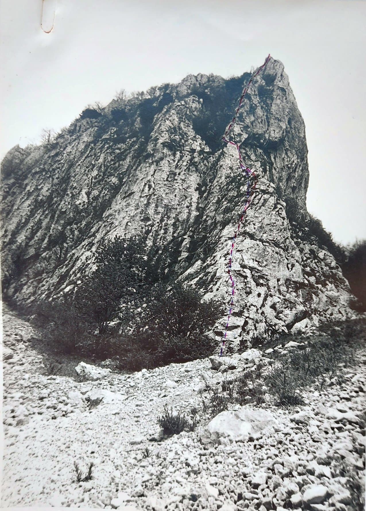Foto traseu Foto traseu