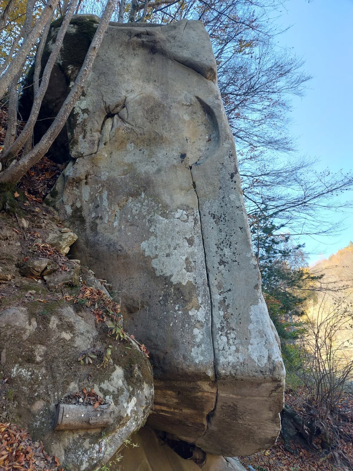 Zona verticală Zona verticală