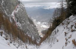 Brâul Însorit