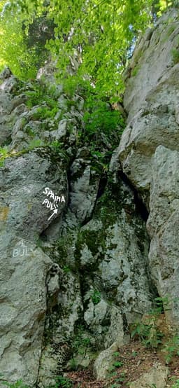 Spaima Pulii