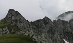 Muchia Turnului Paltinului