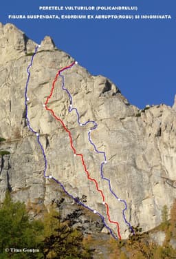 Fisura Suspendată