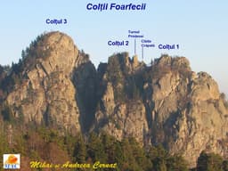 Colții Foarfecii