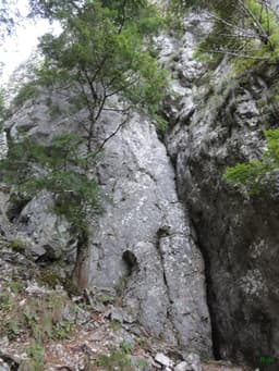 Începătorului