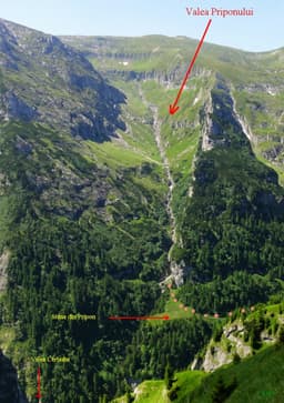 Valea Priponului