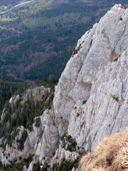 Hornul din Brâul Răchitei