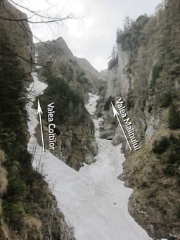 Valea Mălinului