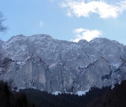 Brâul Roșu