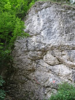 Le Slaubeause
