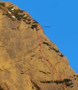 Fisura în Y