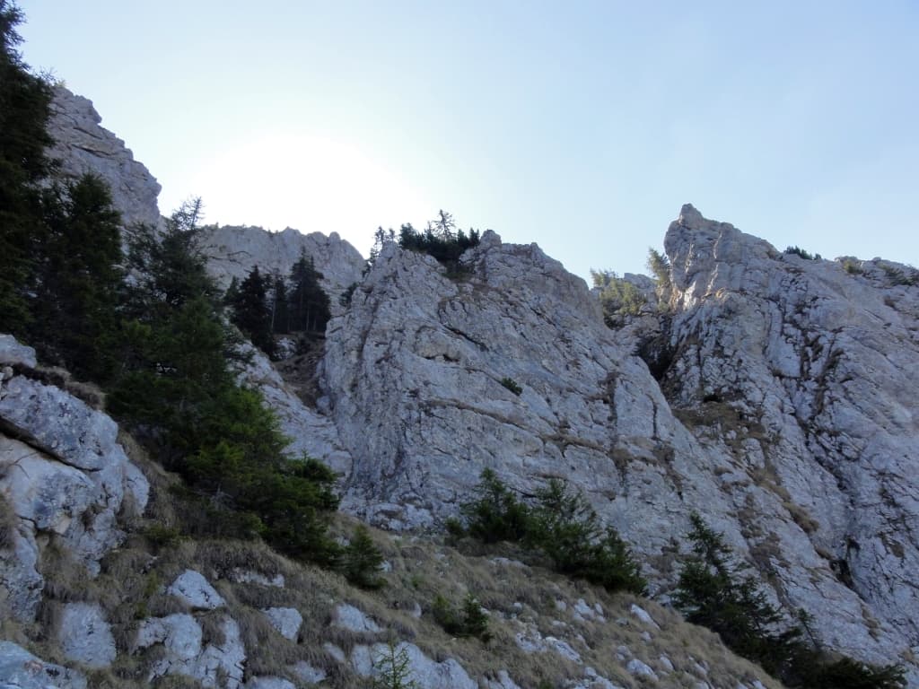 Sursă foto: Rupi
