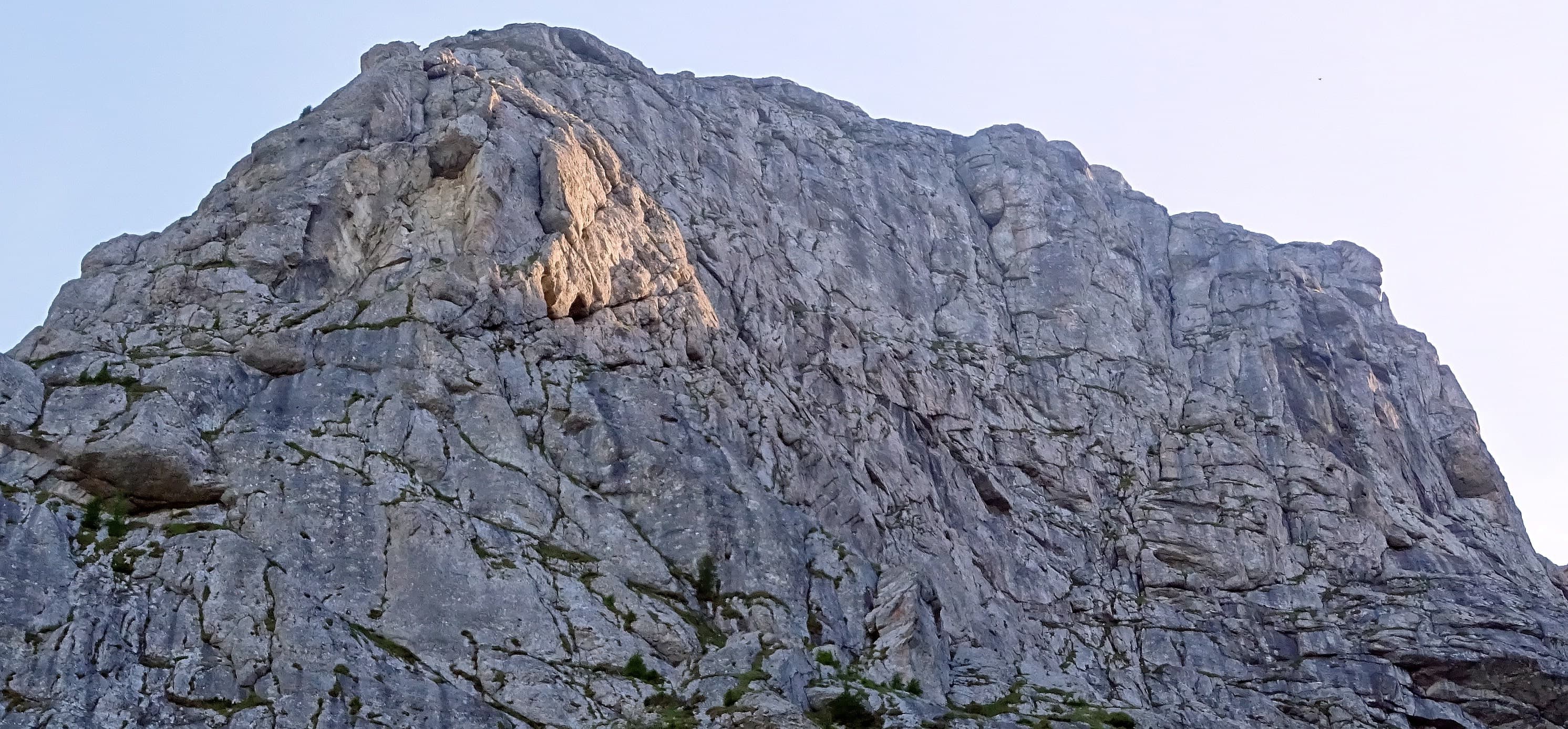 Peretele Gălbenelelor. Sursa foto: Rupi (2019)