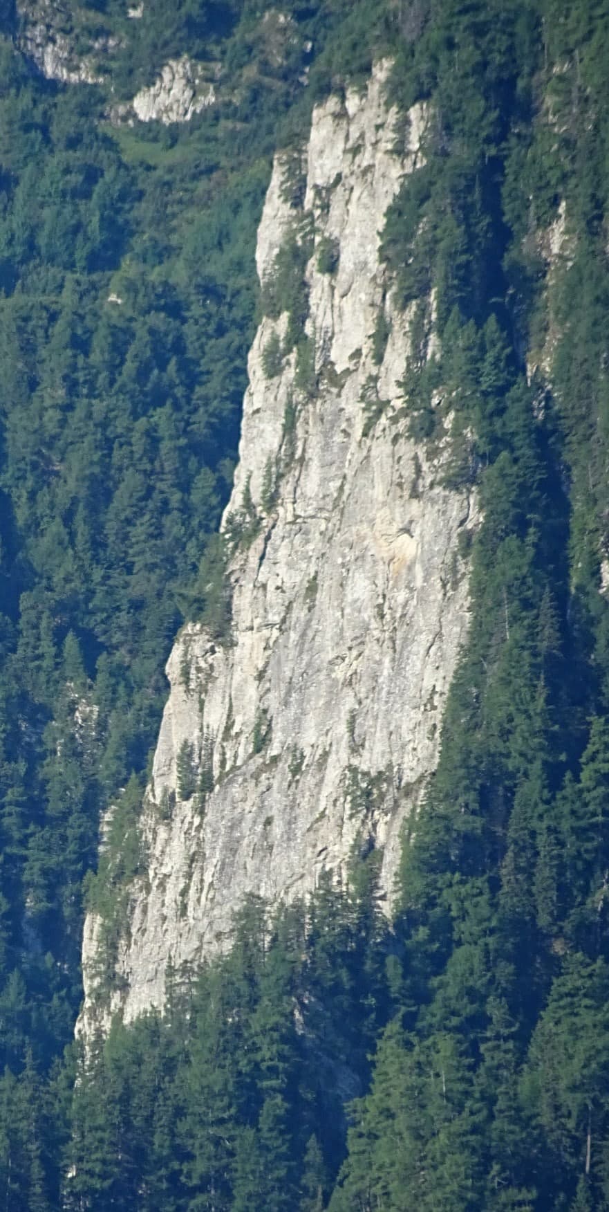 Vedere din Busteni. Sursa foto: Rupi (2019)