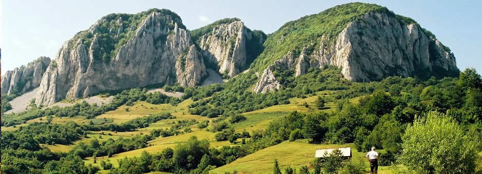 Sursă: http://www.buces.ro