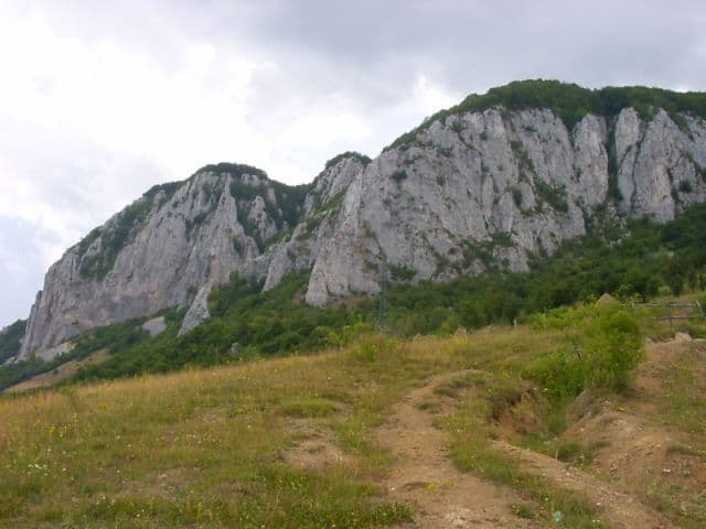Sursă: Cristi Popescu