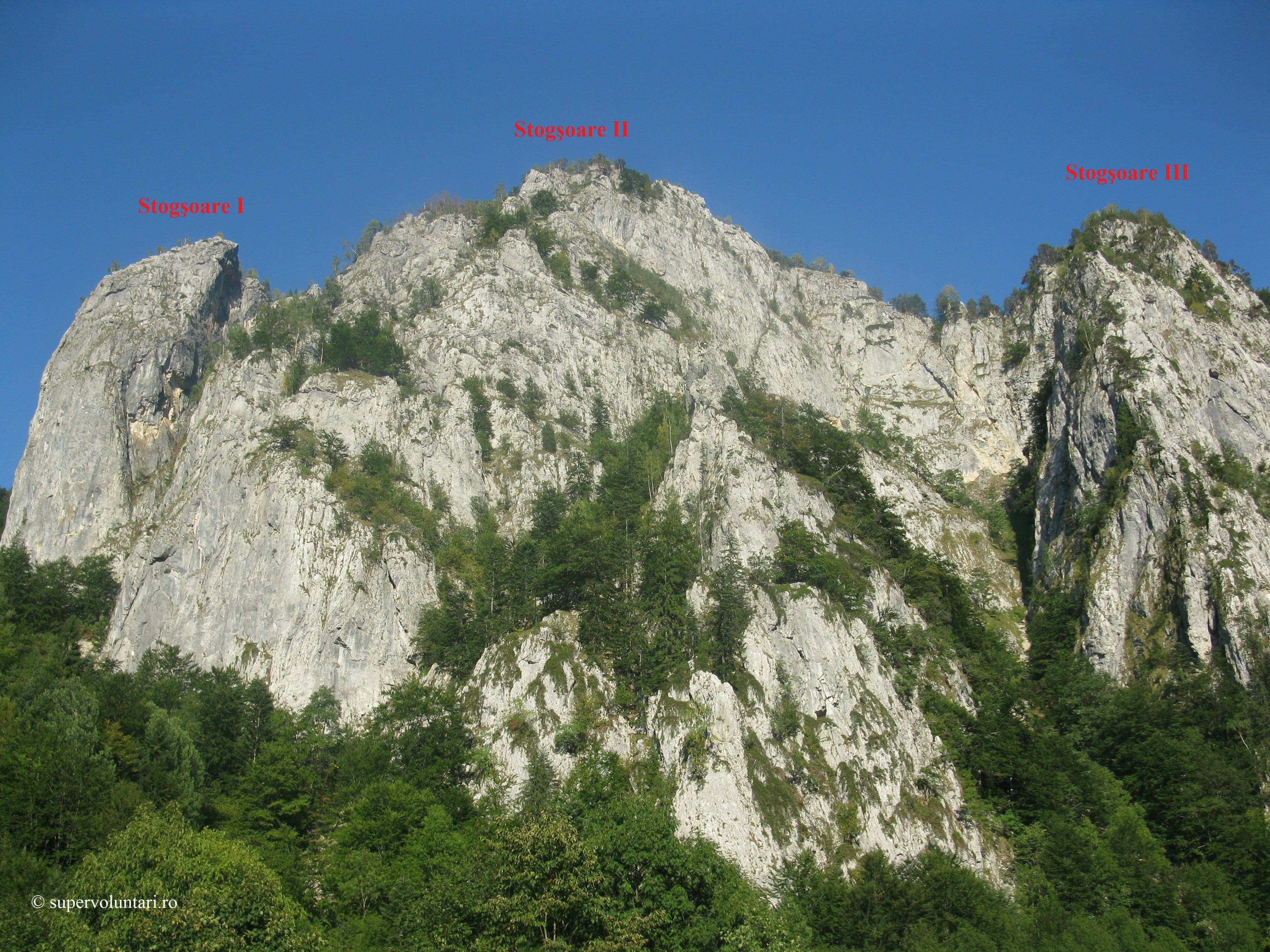 Stogşoare ansamblu
