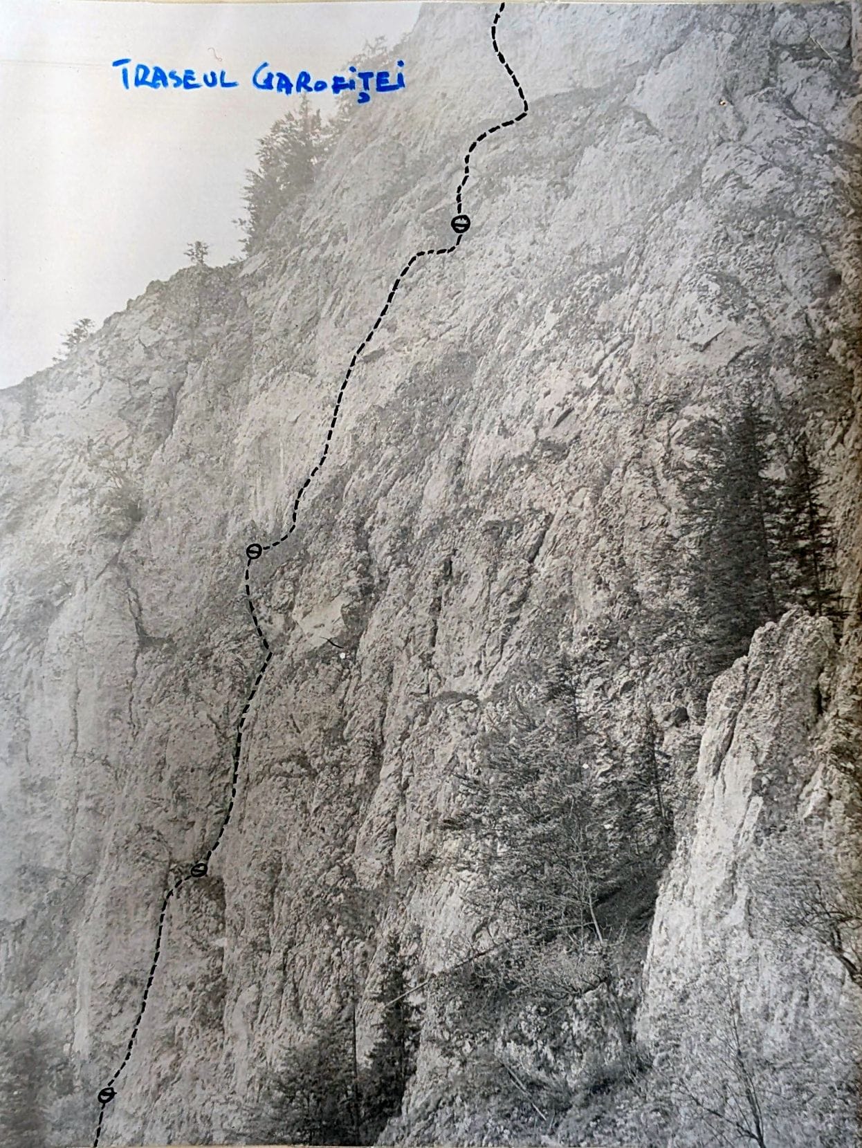 Linia traseului desenată de premieriști