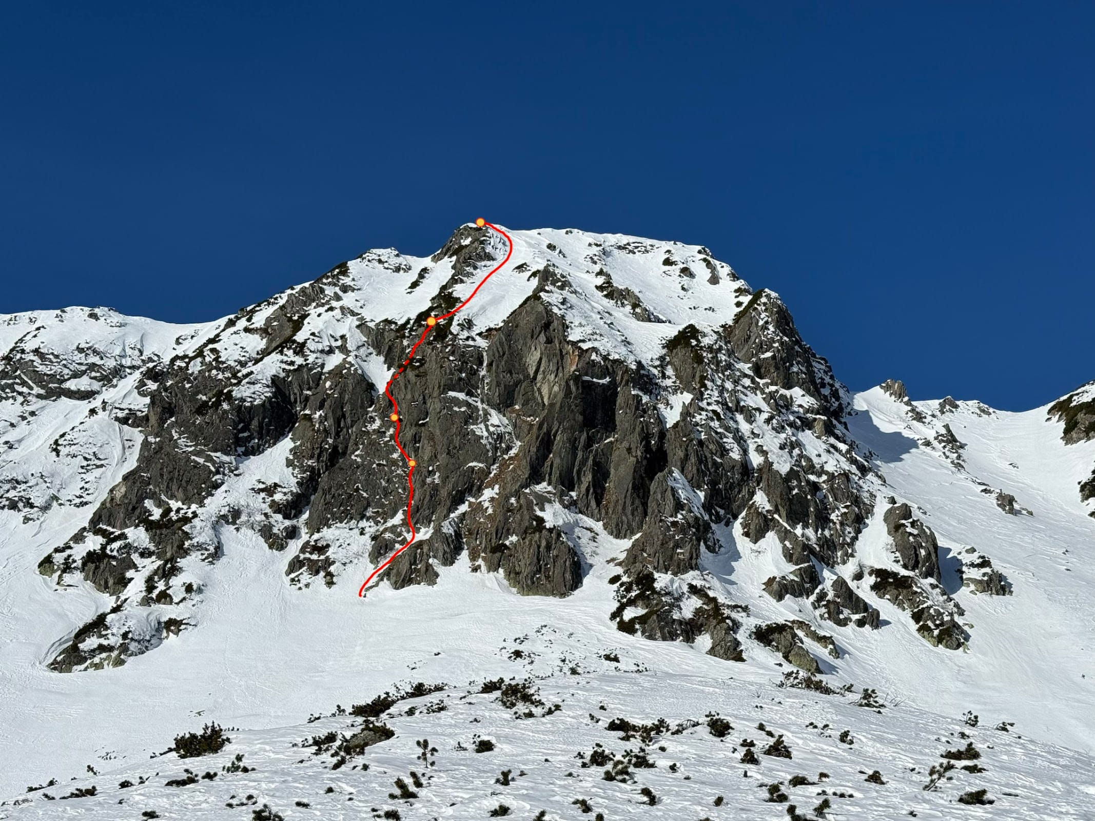 Topo