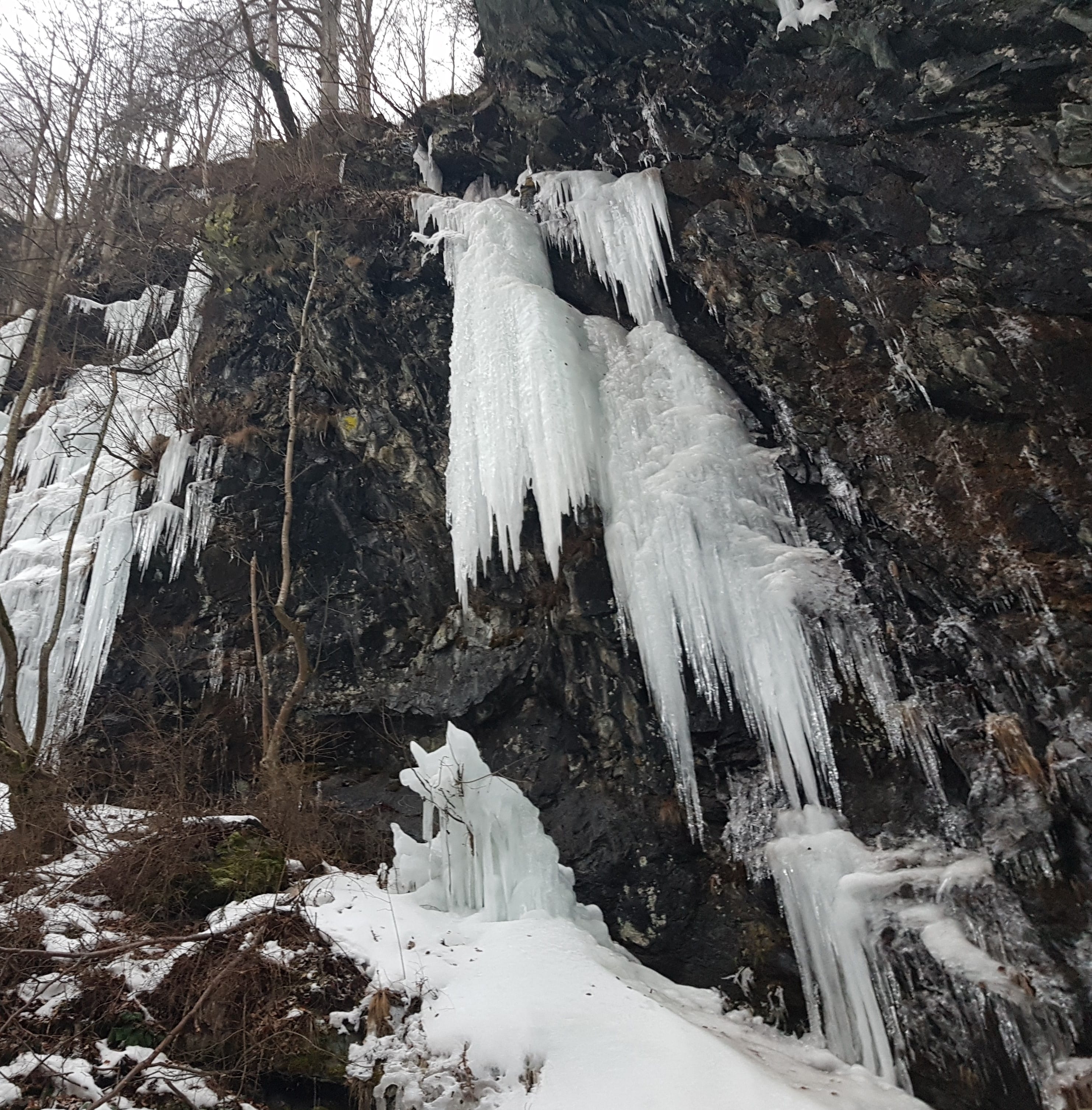 Sursă: Apostu Lucian Sursă: Apostu Lucian