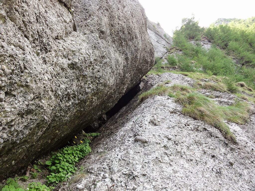 Sursă foto: Rupi (2012)
