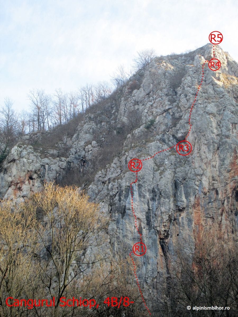 Sursă: alpinismbihor.ro