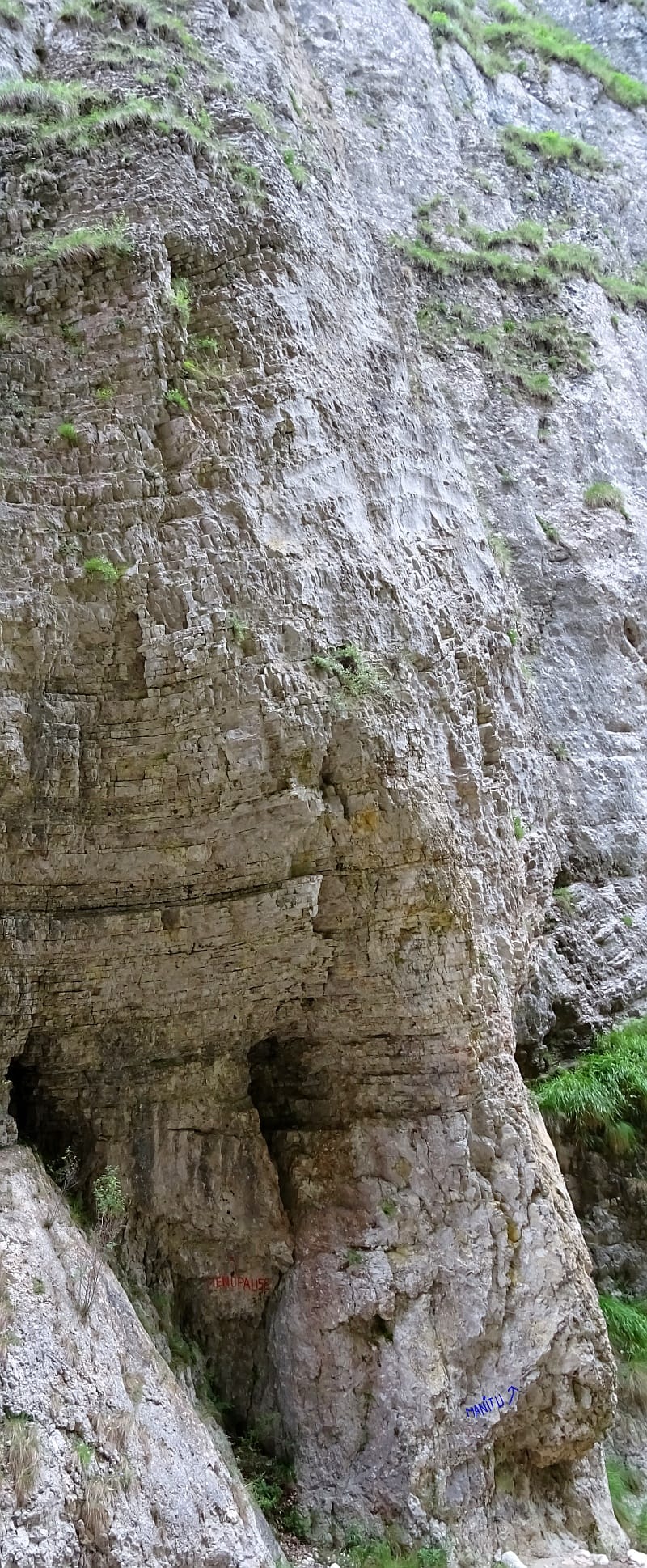 În dreapta. Sursă foto: Rupi
