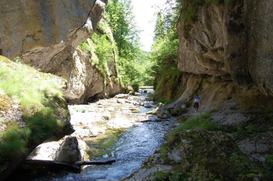 Sursă: stirivaleajiului.info