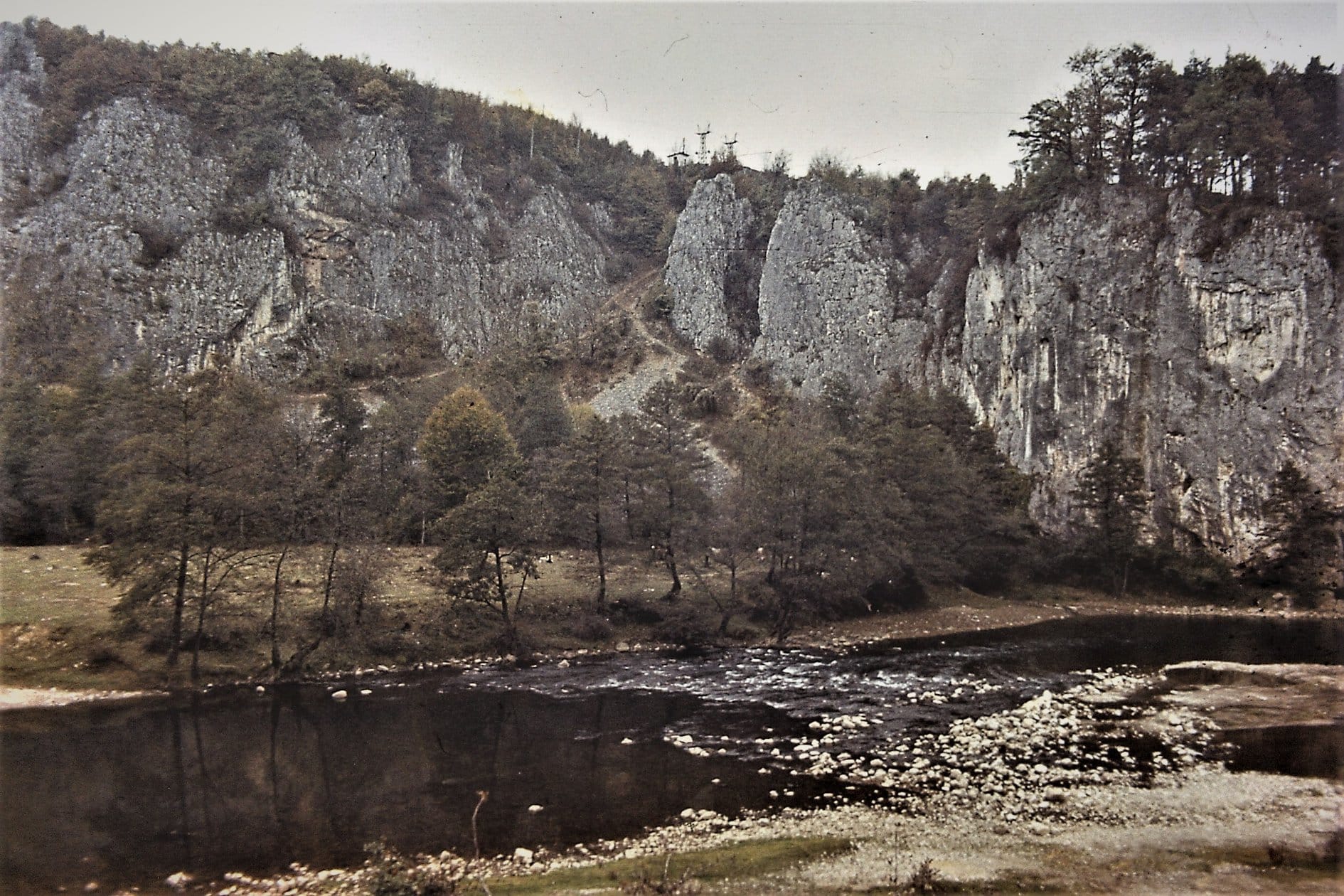 Sursă: Adrian Pauta