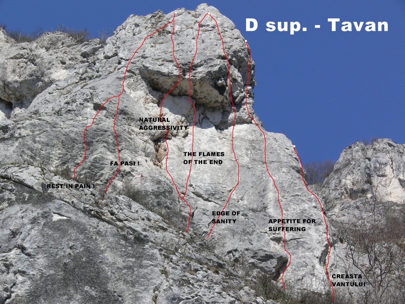 Sursă: Titus Gonțea