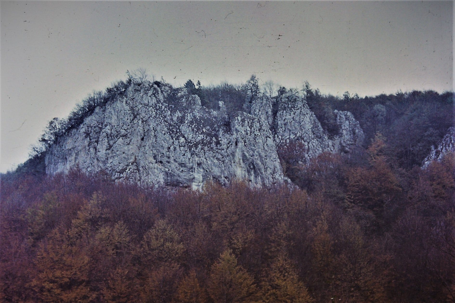 Sursă: Adrian Pauta