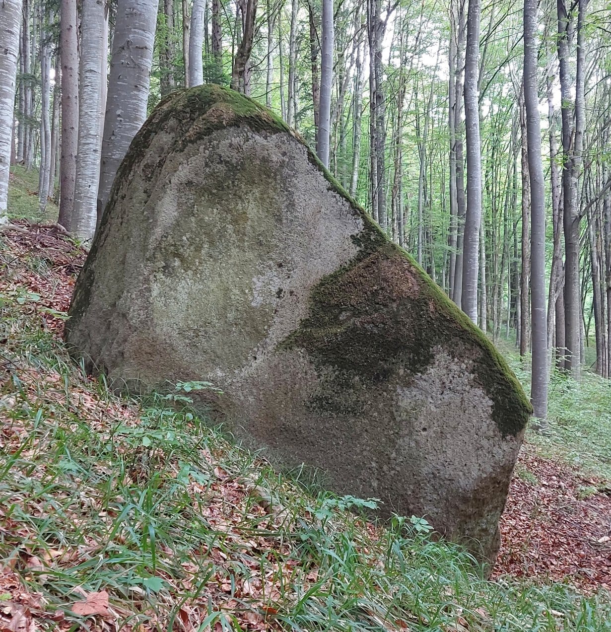 Sursă foto: Rupi (2024-06)