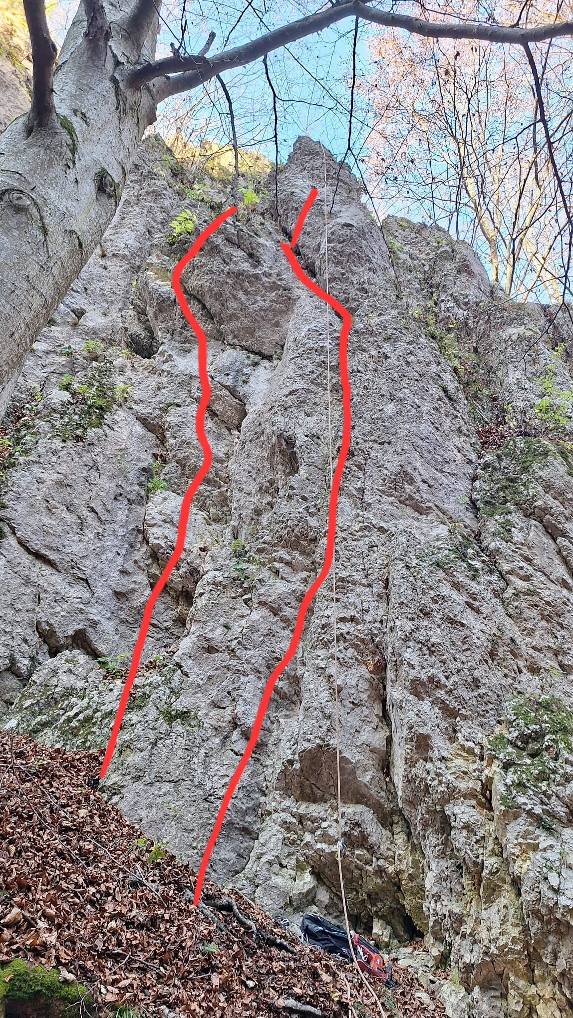 Stânga D5, dreapta D4+. Sursă foto și desen: Alex Păun