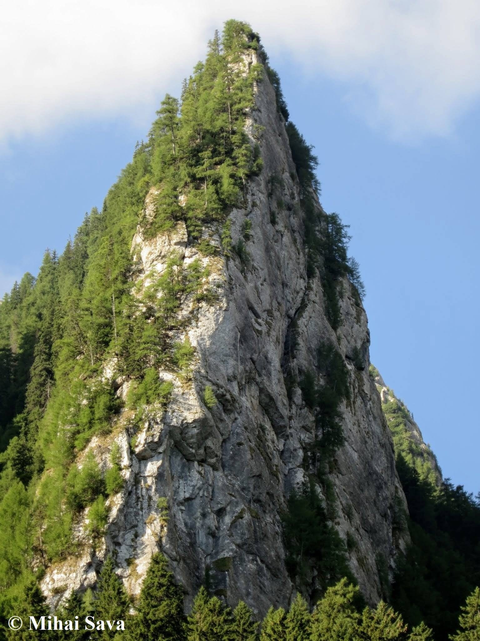 Sursă: Mihai Sava