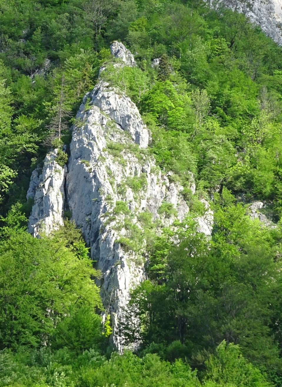 Sursă foto: Rupi (2020)