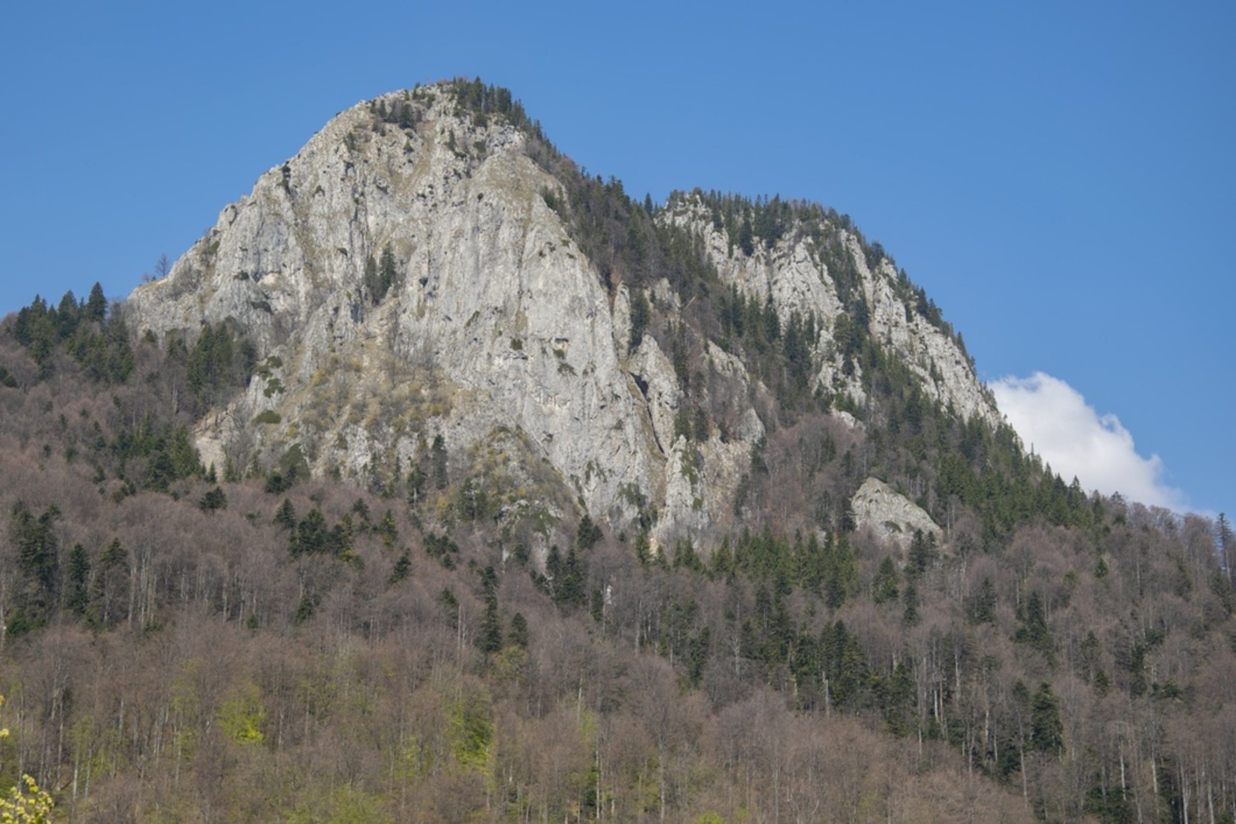 Sursă: Victor Anica