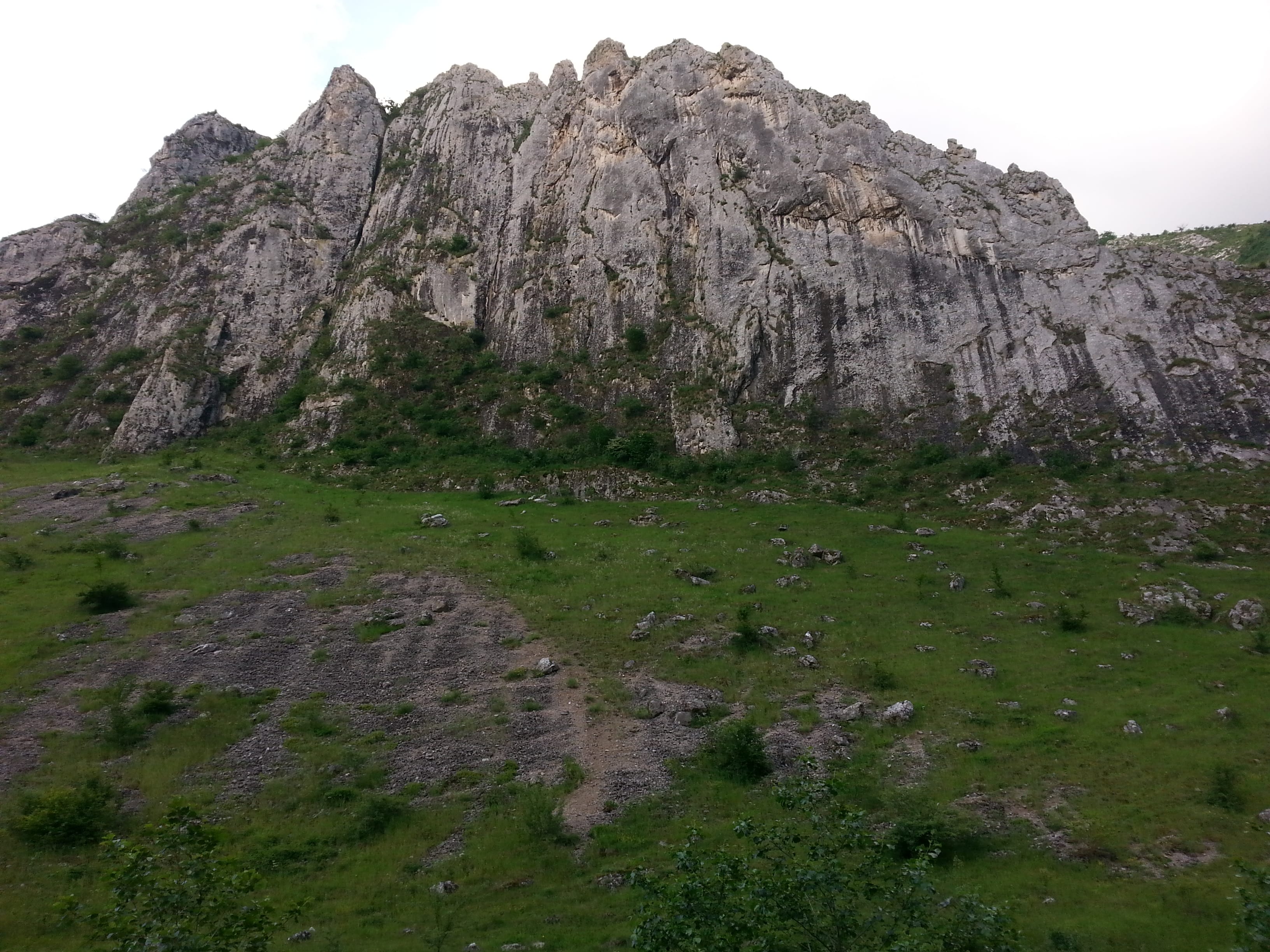 Sursă: Rupi