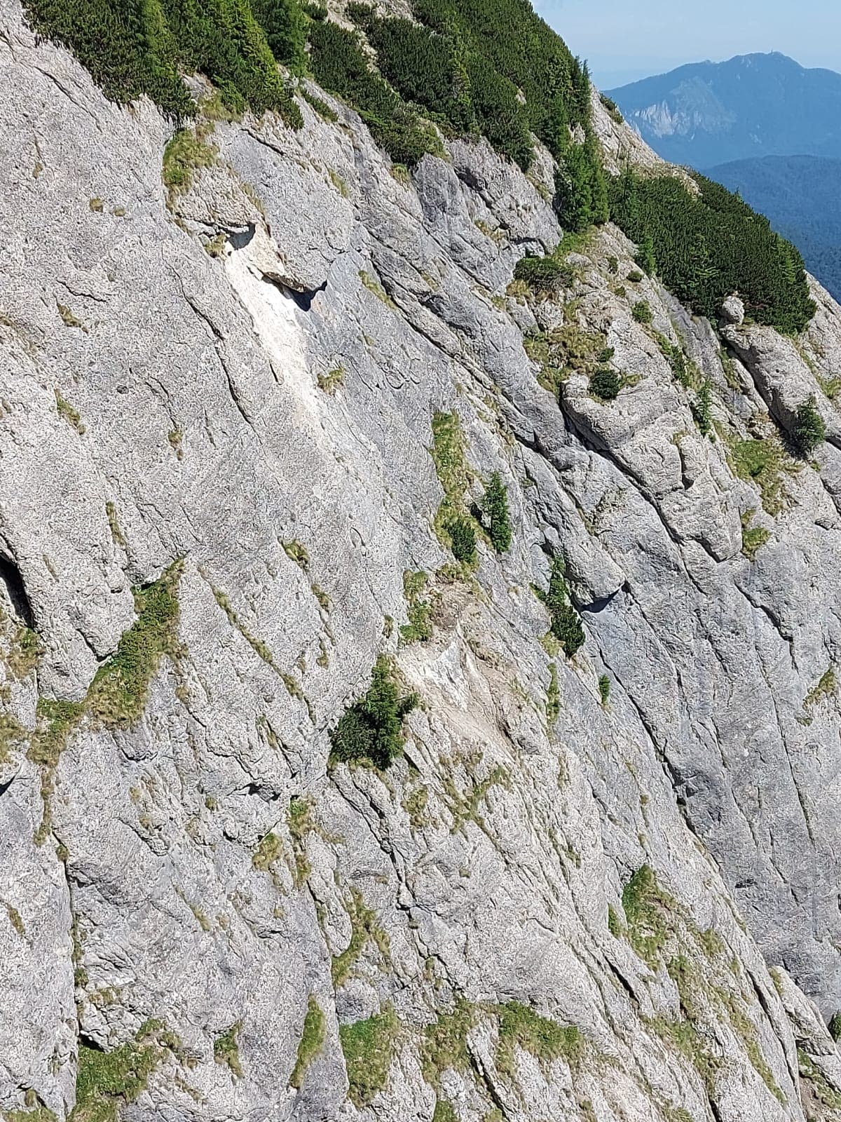 Sursă foto: Rupi (07.2024) Sursă foto: Rupi (07.2024)