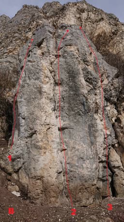 Leu' lesios