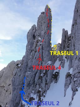 Traseul 4