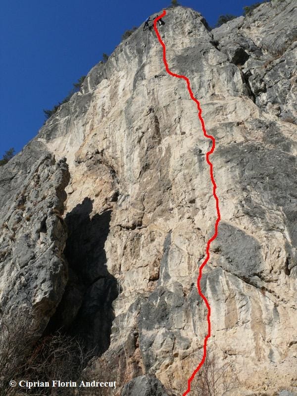 Sursă: Ciprian Florin Andrecuţ Sursă: Ciprian Florin Andrecuţ