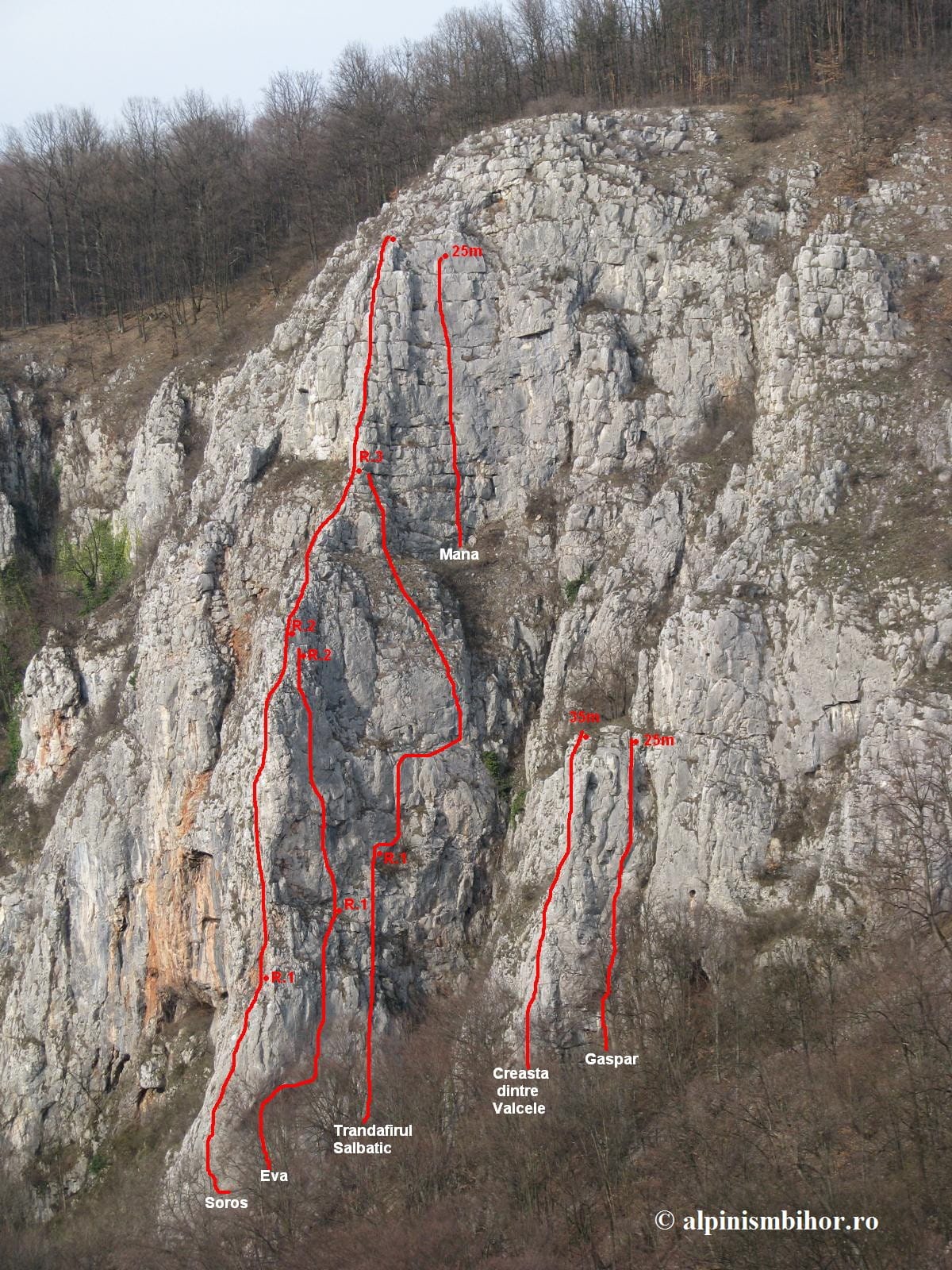 Sursă: alpinismbihor.ro Sursă: alpinismbihor.ro