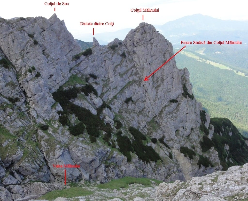 Sursă: Rupi Sursă: Rupi