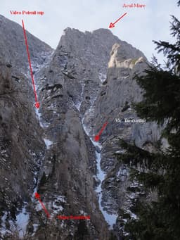 Valea Poienii