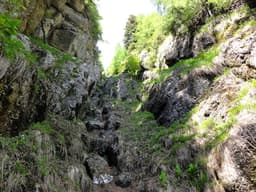 Valea Pintenului