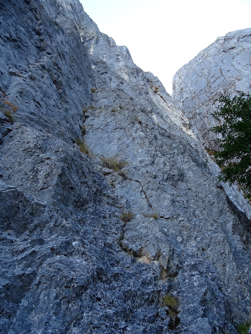 Intrarea in traseu. Sursa foto: Rupi (2019) Intrarea in traseu. Sursa foto: Rupi (2019)