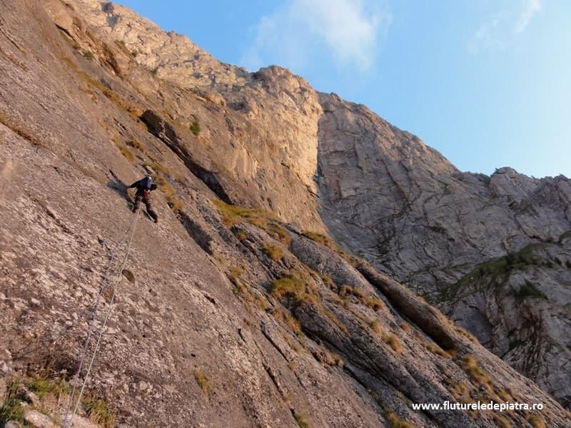 LC3 - Just another fucking day. Sursă www.flutureledepiatra.ro LC3 - Just another fucking day. Sursă www.flutureledepiatra.ro
