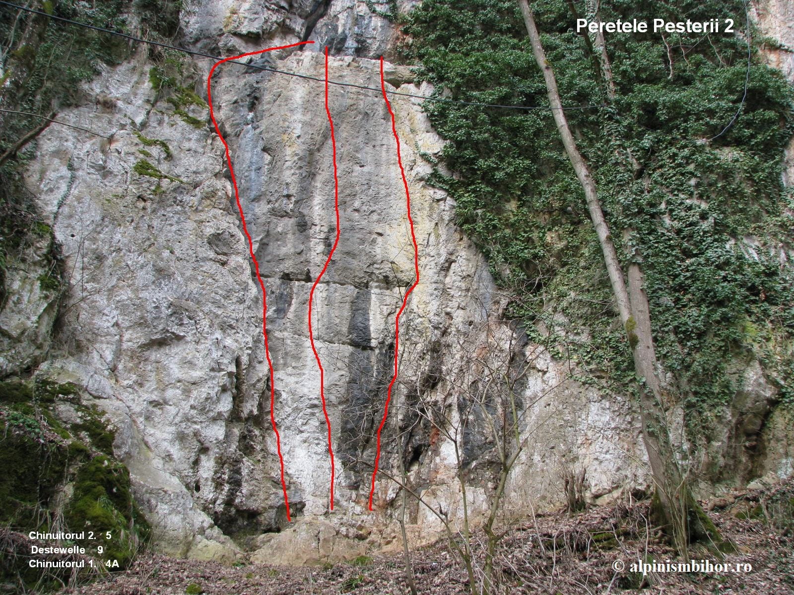 Sursă: alpinismbihor.ro Sursă: alpinismbihor.ro