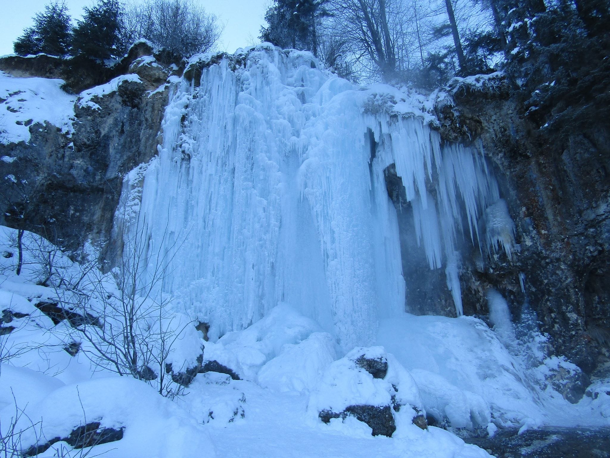 Sursă: Gavrila Albert Sursă: Gavrila Albert