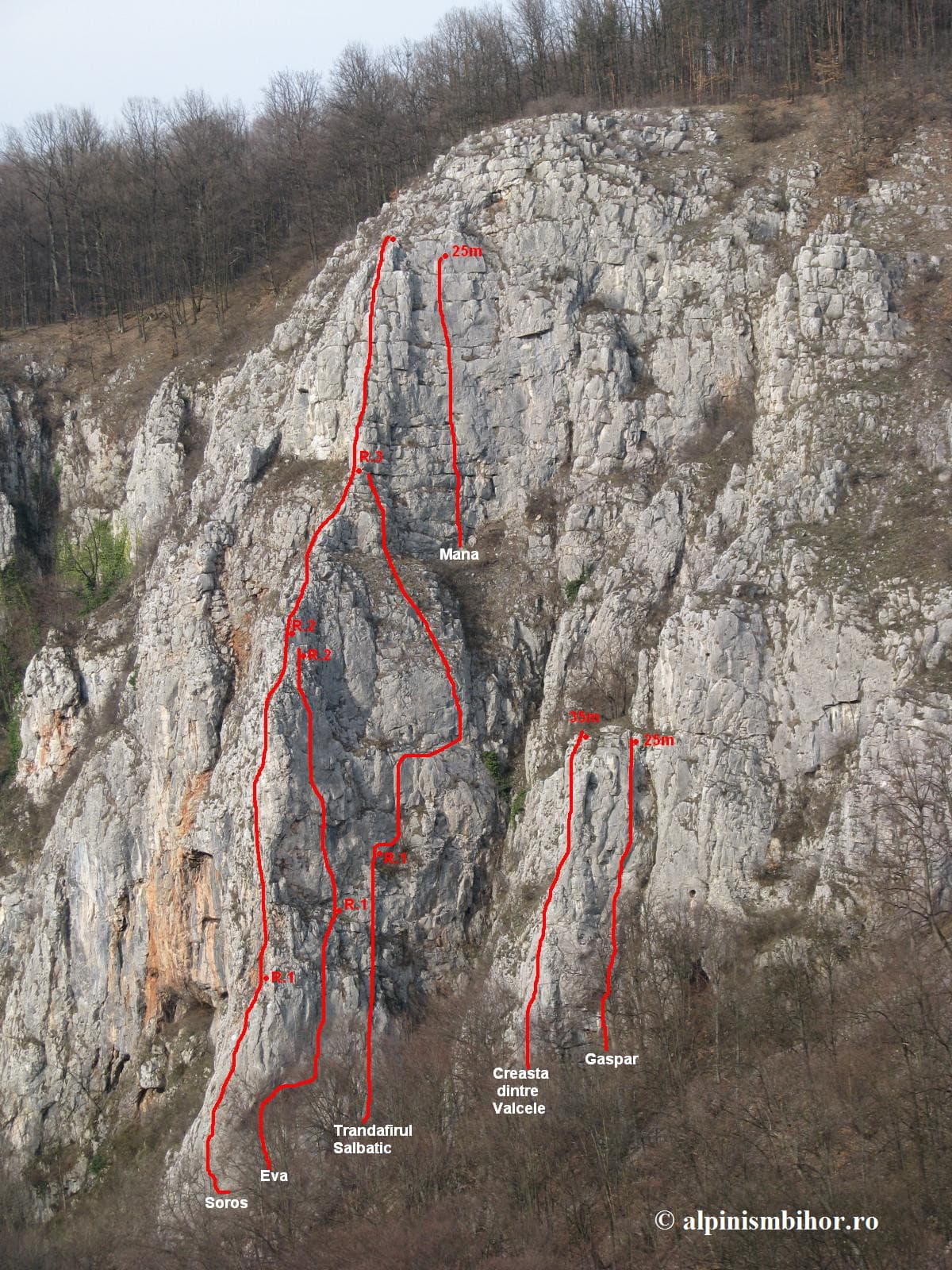 Sursă: alpinismbihor.ro Sursă: alpinismbihor.ro