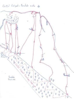 Fifi, furnica